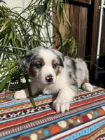 processed/dc27aee4-a8d3-4a33-954e-a5b6f819da35/listing/4d92ca46-b335-4d1c-aa7c-1dd58c0c7a88/75b86fa4-6b90-4079-a900-a155ad393ec7