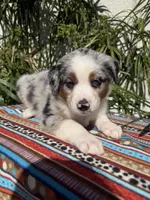 processed/dc27aee4-a8d3-4a33-954e-a5b6f819da35/listing/4d92ca46-b335-4d1c-aa7c-1dd58c0c7a88/7e018112-220e-482f-b233-87641a64ac32