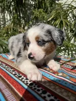 processed/dc27aee4-a8d3-4a33-954e-a5b6f819da35/listing/4d92ca46-b335-4d1c-aa7c-1dd58c0c7a88/93ec5a4e-a110-421f-add4-540f7d6100c0