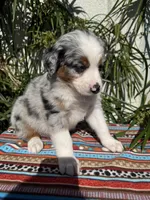 processed/dc27aee4-a8d3-4a33-954e-a5b6f819da35/listing/4d92ca46-b335-4d1c-aa7c-1dd58c0c7a88/a70cff99-4b07-46fd-ad81-d5d72a008873