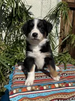 processed/dc27aee4-a8d3-4a33-954e-a5b6f819da35/listing/cc56175b-ad30-467b-a6c1-52308b27e40f/0685717c-24e8-4388-929e-b7b3ce855e08