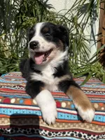 processed/dc27aee4-a8d3-4a33-954e-a5b6f819da35/listing/cc56175b-ad30-467b-a6c1-52308b27e40f/19e22473-754c-41bb-a525-6222e07b580b