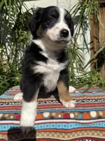 processed/dc27aee4-a8d3-4a33-954e-a5b6f819da35/listing/cc56175b-ad30-467b-a6c1-52308b27e40f/54358e18-9527-4eb4-a9a4-abdbbd374d5b