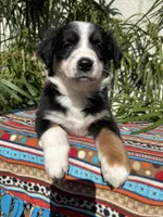 processed/dc27aee4-a8d3-4a33-954e-a5b6f819da35/listing/cc56175b-ad30-467b-a6c1-52308b27e40f/9115456d-5e4c-44fe-8ede-786464eb1c61