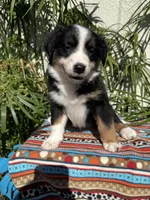 processed/dc27aee4-a8d3-4a33-954e-a5b6f819da35/listing/cc56175b-ad30-467b-a6c1-52308b27e40f/c6c3e0db-8954-4521-8845-562d38485d82