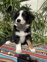 processed/dc27aee4-a8d3-4a33-954e-a5b6f819da35/listing/cc56175b-ad30-467b-a6c1-52308b27e40f/f0b5d07f-294c-4e41-b7a3-be1138896595