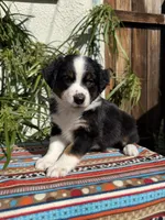 processed/dc27aee4-a8d3-4a33-954e-a5b6f819da35/listing/d56d4640-6b8c-4666-b497-780ab6e26f09/ad656135-d2e8-4683-8426-a663ed3028a5