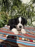 processed/dc27aee4-a8d3-4a33-954e-a5b6f819da35/listing/d56d4640-6b8c-4666-b497-780ab6e26f09/b7484b73-2381-46fa-81f3-9c7a08a9ce7e