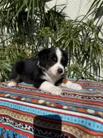 processed/dc27aee4-a8d3-4a33-954e-a5b6f819da35/listing/d56d4640-6b8c-4666-b497-780ab6e26f09/d5d2b901-ba44-48fd-b56b-1ca77489e80e