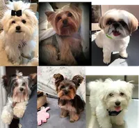 processed/dc30a8eb-1359-4920-b60b-0335893d1bf1/facility/06fdf27a-5aff-4a0c-a78d-4ddb589555e4