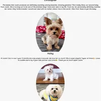 processed/dc30a8eb-1359-4920-b60b-0335893d1bf1/facility/11bccd3d-3e7d-4a5f-b7c3-84b5577a43e5