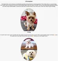 processed/dc30a8eb-1359-4920-b60b-0335893d1bf1/facility/11bccd3d-3e7d-4a5f-b7c3-84b5577a43e5