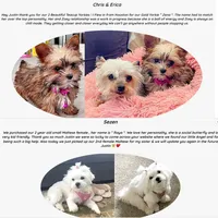 processed/dc30a8eb-1359-4920-b60b-0335893d1bf1/facility/8ac91130-d394-4f6f-9560-cae3e62c8b7a