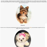 processed/dc30a8eb-1359-4920-b60b-0335893d1bf1/facility/8e6f8184-5f7e-4612-aeef-2e82c27e440a