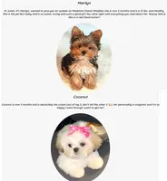 processed/dc30a8eb-1359-4920-b60b-0335893d1bf1/facility/8e6f8184-5f7e-4612-aeef-2e82c27e440a