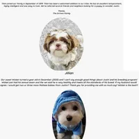 processed/dc30a8eb-1359-4920-b60b-0335893d1bf1/facility/ef061f7e-dc27-4ced-864e-300601ac1d75