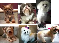 processed/dc30a8eb-1359-4920-b60b-0335893d1bf1/facility/fca6a083-a9f6-4670-95b5-bd393f53f5ba