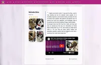 Shih Tzu Female Chocolate "I'm Your Dream Baby", a female Shih Tzu for sale in Marietta, GA – Photo 6 of 10