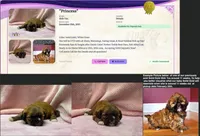 processed/dc30a8eb-1359-4920-b60b-0335893d1bf1/listing/3c855235-1ec6-4c35-9588-9a6a4f2eddd7/31112def-77d9-4d21-aadf-829d650e9614