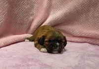 processed/dc30a8eb-1359-4920-b60b-0335893d1bf1/listing/3c855235-1ec6-4c35-9588-9a6a4f2eddd7/cc124731-31ee-4f32-897f-da429026d512