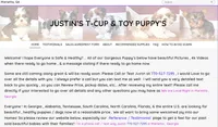 Justin's T-cups & Toy Pups, a female Shih Tzu for sale in Marietta, GA – Photo 6 of 6