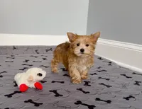 processed/dc30a8eb-1359-4920-b60b-0335893d1bf1/listing/886ee4f0-e521-4204-bd4d-5b83204fe0ad/4c7ebef0-1618-47b7-aad6-dd9ad400ebb0