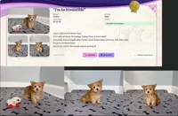 processed/dc30a8eb-1359-4920-b60b-0335893d1bf1/listing/886ee4f0-e521-4204-bd4d-5b83204fe0ad/5a459b7c-58f9-47fa-8f94-328e9b261de7