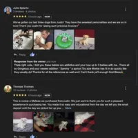 Maltese Stark White!, a male Maltese for sale in Marietta, GA – Photo 10 of 10