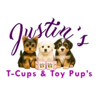 Wow! Yorkie Male Black & Tan, a male Yorkshire Terrier for sale in Marietta, GA – Photo 4 of 10