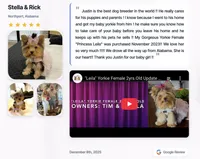 Yorkie Female Tiny! Gold & White Parti .. "1in a Million", a female Yorkshire Terrier for sale in Marietta, GA – 5 of 10