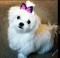 processed/dc30a8eb-1359-4920-b60b-0335893d1bf1/listing/e5942c2b-8096-4d57-9034-e09077c47efd/3f359828-72ec-4973-9db0-87d9f18af1c8