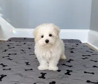 processed/dc30a8eb-1359-4920-b60b-0335893d1bf1/listing/f627dad8-d25f-4f3c-aab5-a4fbaedd345d/6472914f-8713-4882-9dd2-06115e907a0a