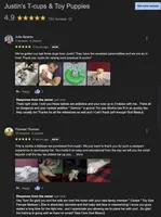 processed/dc30a8eb-1359-4920-b60b-0335893d1bf1/listing/f627dad8-d25f-4f3c-aab5-a4fbaedd345d/652885f7-8b17-4102-b759-7cbcf3d7f232