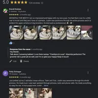 Maltese Male Dream Baby!, a male Maltese for sale in Marietta, GA – Photo 9 of 10