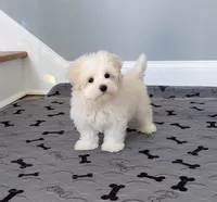 processed/dc30a8eb-1359-4920-b60b-0335893d1bf1/listing/fd0a5e8c-cc1e-407a-ada2-2621c8bd8f4c/02a73d87-76c3-4522-9f47-ed8f7de1128f