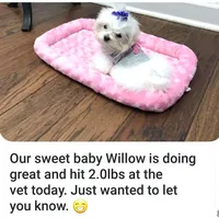 processed/dc30a8eb-1359-4920-b60b-0335893d1bf1/listing/fd0a5e8c-cc1e-407a-ada2-2621c8bd8f4c/248984a6-6498-4b9f-8583-fa097199f512