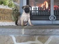 processed/dc326875-29f4-4139-8487-6e5473582b18/listing/dc7a5ea2-e840-41d7-8fad-38f9c30fa3e3/3ba09149-ba58-46f9-b5d4-f409486a1d65