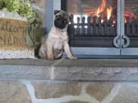 processed/dc326875-29f4-4139-8487-6e5473582b18/listing/dc7a5ea2-e840-41d7-8fad-38f9c30fa3e3/f2c7c9c0-983d-4e24-bfa1-f5a99525c19e