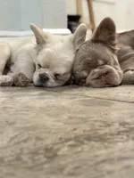 processed/dc36506b-42f0-4757-954c-7a55434c508c/facility/0d42da1b-71c9-4f68-a547-955ee86899c6