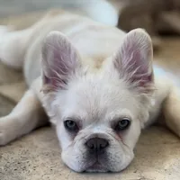 processed/dc36506b-42f0-4757-954c-7a55434c508c/facility/271f0eaf-f361-4b8d-9fbb-6d0ec83361aa