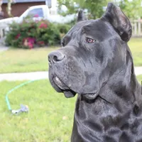 processed/dc36506b-42f0-4757-954c-7a55434c508c/facility/4366cc1d-b825-49e2-b740-be9d46d50b5b