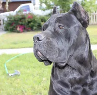 processed/dc36506b-42f0-4757-954c-7a55434c508c/facility/4366cc1d-b825-49e2-b740-be9d46d50b5b