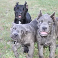 processed/dc36506b-42f0-4757-954c-7a55434c508c/facility/512aee11-de04-46fe-9e42-7636da3fd57a