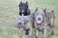 processed/dc36506b-42f0-4757-954c-7a55434c508c/facility/512aee11-de04-46fe-9e42-7636da3fd57a