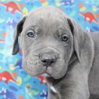 processed/dc36506b-42f0-4757-954c-7a55434c508c/facility/5261f63e-4bc7-434c-9195-a79735f29889