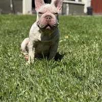 processed/dc36506b-42f0-4757-954c-7a55434c508c/facility/6a42f8f5-6aa5-4a64-a1ca-2520997a2ea7