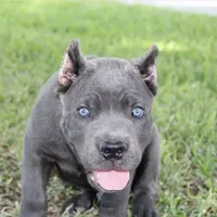 processed/dc36506b-42f0-4757-954c-7a55434c508c/facility/6caa2ed2-f158-4732-a694-54b236a6b61c