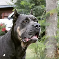 processed/dc36506b-42f0-4757-954c-7a55434c508c/facility/8028e7e9-26c3-41b3-baf2-e813dd845d9a