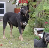 processed/dc36506b-42f0-4757-954c-7a55434c508c/facility/83b9f474-976f-4816-a44f-a7f1bfa78af9