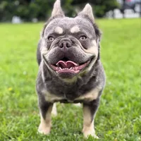 processed/dc36506b-42f0-4757-954c-7a55434c508c/facility/e27b6b57-3bed-4b21-b1da-8f09ad66f967